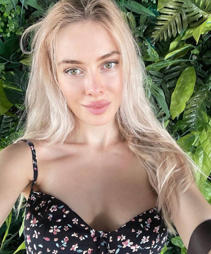 Модель Давида Drive Models